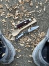 IMG_1251.jpeg