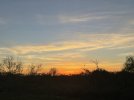IMG_6542.jpeg