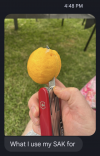 Screenshot_20231021-164951.png