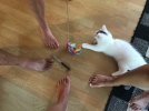 IMG_3280.jpeg