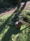 IMG_8887.jpeg