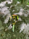 IMG_5522.jpeg