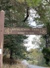 IMG_2175.jpeg