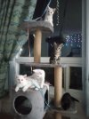 image000000.jpeg