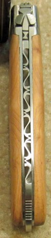 Pataud 10.jpg
