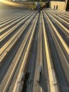 IMG_7663.jpeg