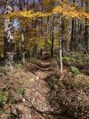 IMG_6453.jpeg