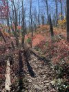 IMG_6465.jpeg
