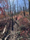 IMG_6468.jpeg