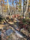 IMG_6449.jpeg