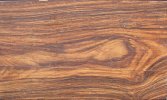 cocobolo 1.jpeg