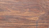 cocobolo2.jpeg