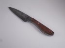 SDC13308.jpg