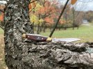 rosewood303 7.JPG