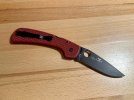 IMG_7921.jpeg