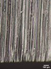 1.4116 Carbides on Bevel.jpg