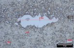 KSN 4116 Carbides Measured.jpg