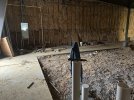 IMG_7824.jpeg