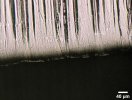 1.4116 Carbides at the edge.jpg