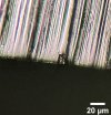 1.4116 Carbide Fracture Close Up.jpg