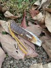 IMG_6528.jpeg