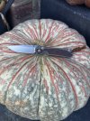 IMG_0752.jpeg