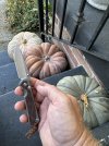 IMG_0755.jpeg