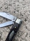 IMG_9035.jpeg