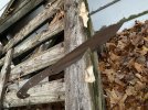 IMG_3031.jpeg