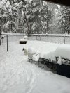 IMG_6524.jpeg