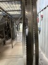 IMG_7956.jpeg