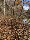 IMG_6542.jpeg