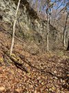 IMG_6541.jpeg