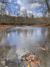 IMG_6540.jpeg