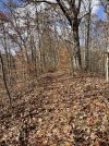 IMG_6543.jpeg