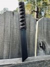 IMG_2493.jpeg