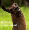 IMG_8111.jpeg