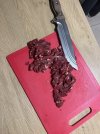 IMG_0875.jpeg