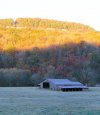 2023-11-03 Boxley Valley (71).JPG