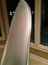 BUSSE_CFNMSFNO_PIC_19_20131015.0.jpg