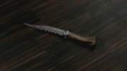 Thedemonkillingknife.jpg