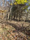 IMG_6556.jpeg