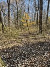 IMG_6554.jpeg