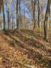IMG_6572.jpeg