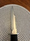 IMG_9242.jpeg