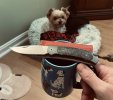 IMG_6910.jpeg