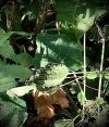 2378F58F-17D6-4623-8F5B-EED9D8341262.jpeg