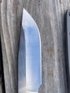 IMG_2919.jpeg