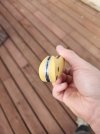 20230907_163803.jpg