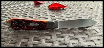 IMG_0420.jpeg